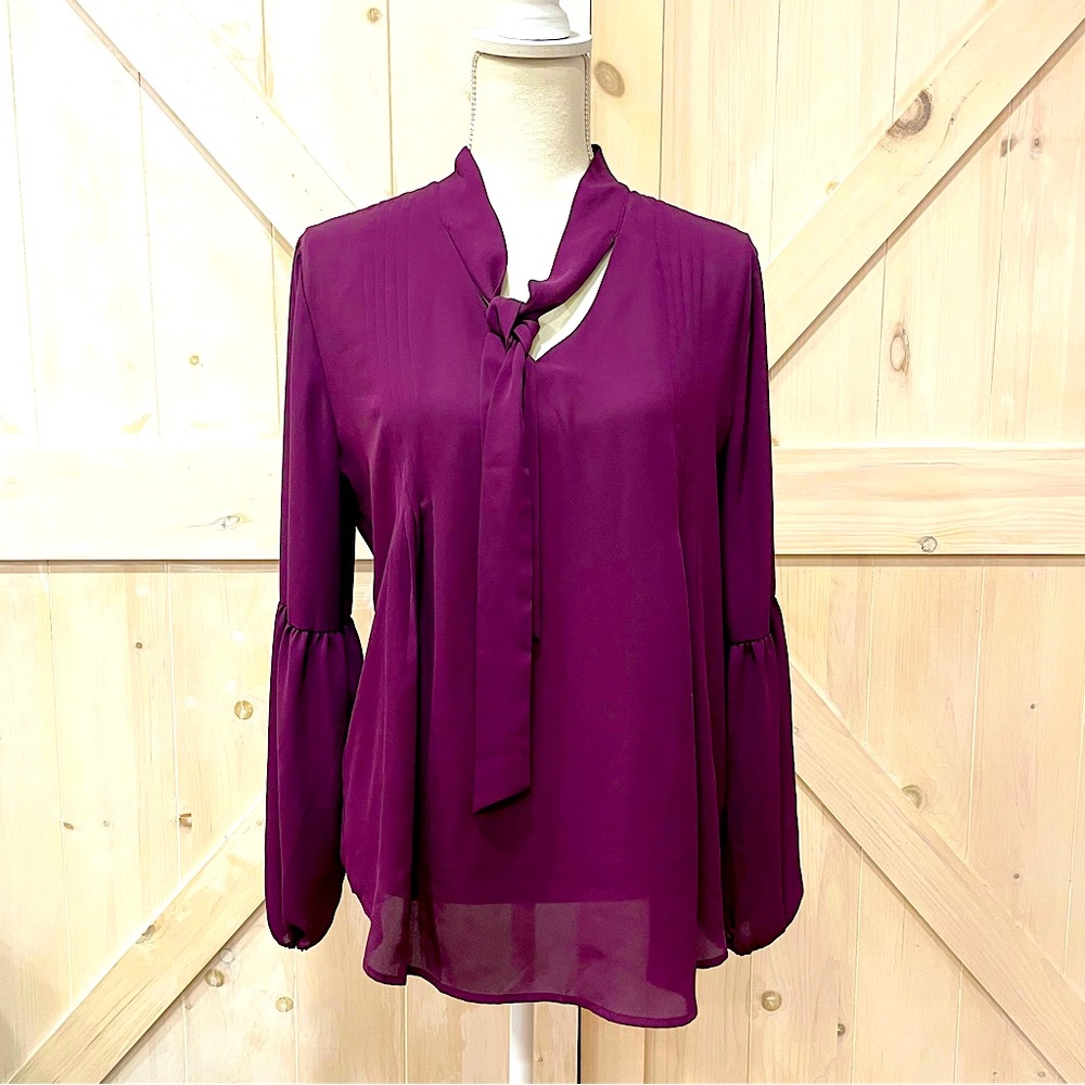 Banana Republic Neck Tie Long Sleeve Flared Top (Medium)